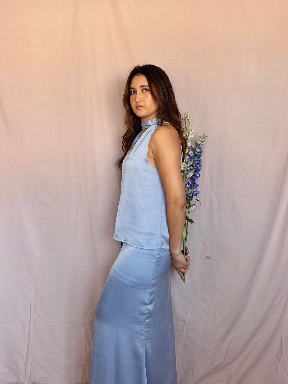 Conjunto Julia - Celeste